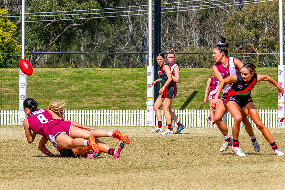 WPD Major SF- Manly Warringah v North Shore - 6 Septemb