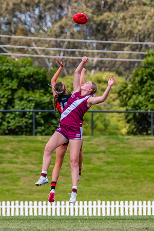 WPD Major SF- Manly Warringah v North Shore - 6 Septemb
