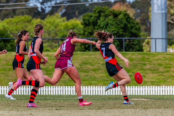 WPD Major SF- Manly Warringah v North Shore - 6 Septemb