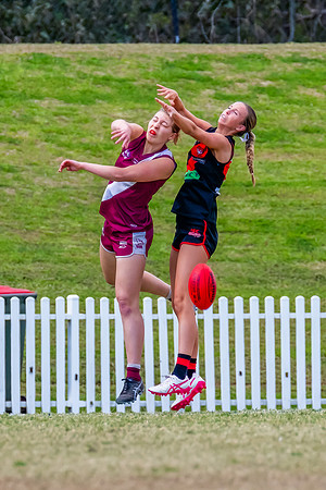 WPD Major SF- Manly Warringah v North Shore - 6 Septemb