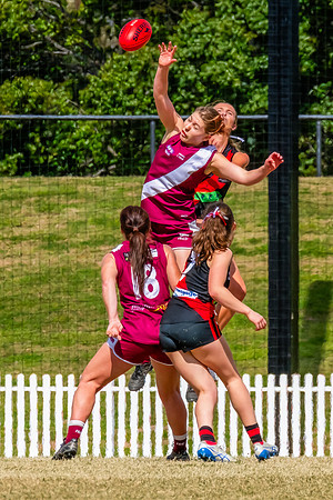 WPD Major SF- Manly Warringah v North Shore - 6 Septemb