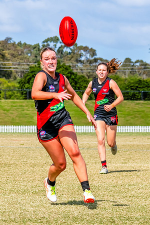 WPD Major SF- Manly Warringah v North Shore - 6 Septemb