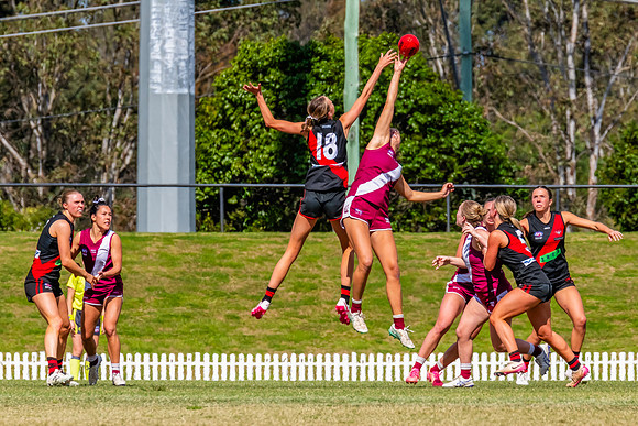 WPD Major SF- Manly Warringah v North Shore - 6 Septemb