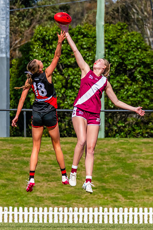 WPD Major SF- Manly Warringah v North Shore - 6 Septemb