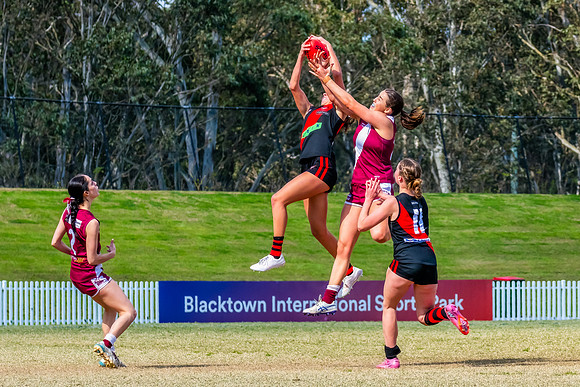 WPD Major SF- Manly Warringah v North Shore - 6 Septemb