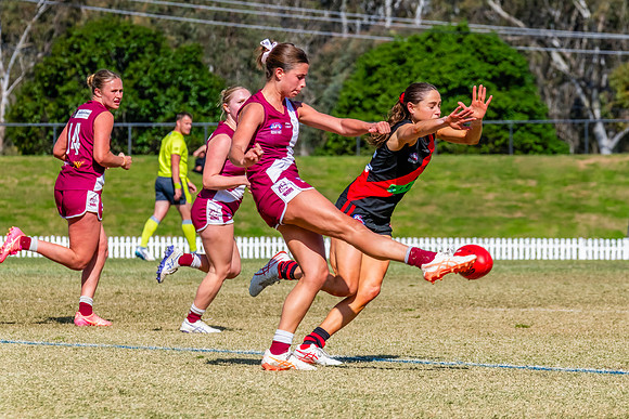 WPD Major SF- Manly Warringah v North Shore - 6 Septemb
