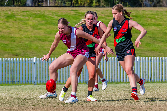 WPD Major SF- Manly Warringah v North Shore - 6 Septemb