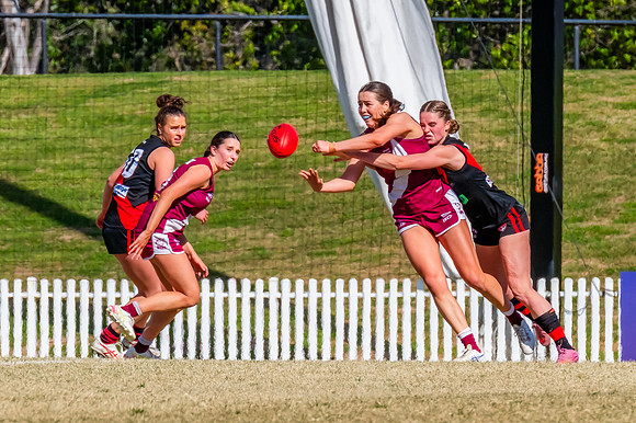 WPD Major SF- Manly Warringah v North Shore - 6 Septemb