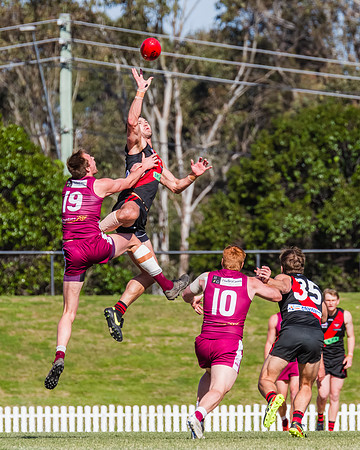 MPD Major SF- Manly Warringah v North Shore - 6 Septemb