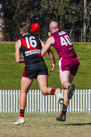MPD Major SF- Manly Warringah v North Shore - 6 Septemb