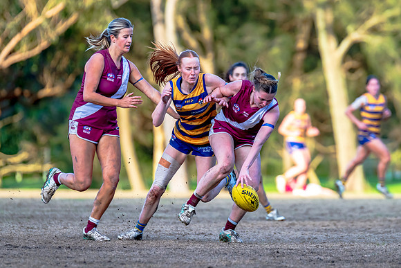 Rd 17 WPD - Manly Warringah v Sydney Uni - 16 August 2025
