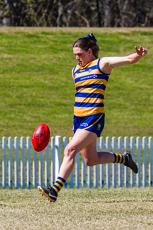 WPD Minor SF - Sydney Uni v UNSW-ES - 7 September 2025