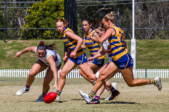 WPD Minor SF - Sydney Uni v UNSW-ES - 7 September 2025