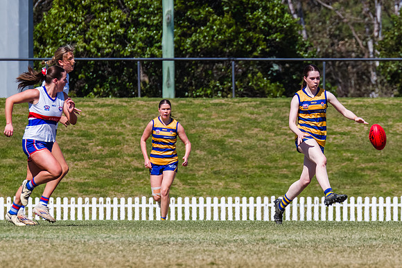 WPD Minor SF - Sydney Uni v UNSW-ES - 7 September 2025