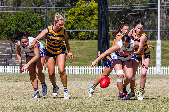 WPD Minor SF - Sydney Uni v UNSW-ES - 7 September 2025