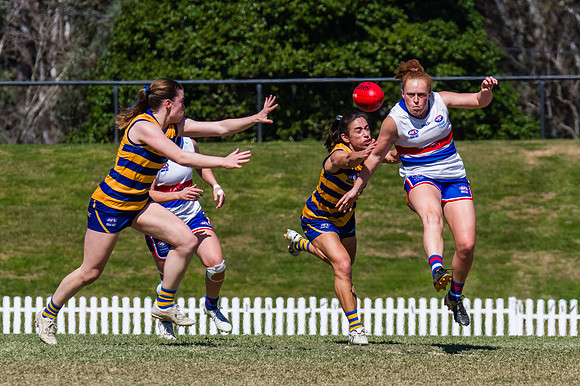 WPD Minor SF - Sydney Uni v UNSW-ES - 7 September 2025