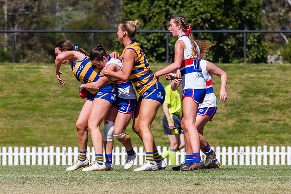 WPD Minor SF - Sydney Uni v UNSW-ES - 7 September 2025