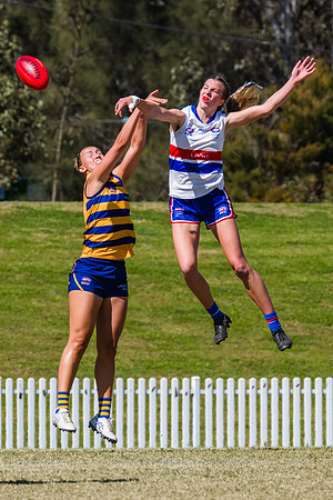 WPD Minor SF - Sydney Uni v UNSW-ES - 7 September 2025