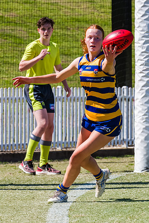 WPD Minor SF - Sydney Uni v UNSW-ES - 7 September 2025