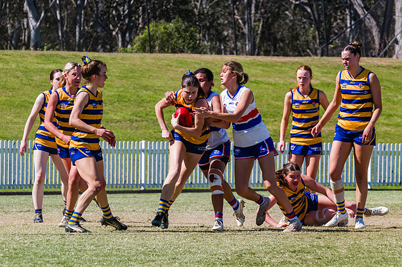 WPD Minor SF - Sydney Uni v UNSW-ES - 7 September 2025