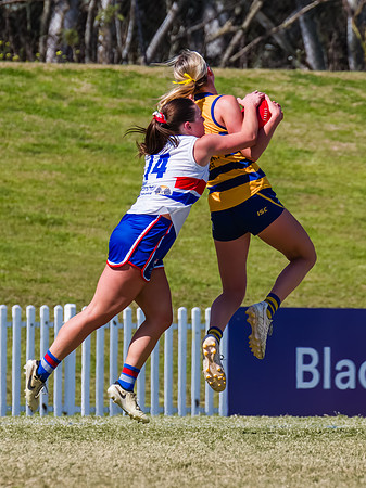 WPD Minor SF - Sydney Uni v UNSW-ES - 7 September 2025