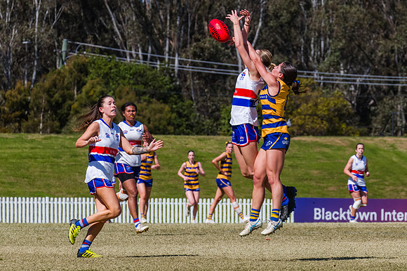 WPD Minor SF - Sydney Uni v UNSW-ES - 7 September 2025