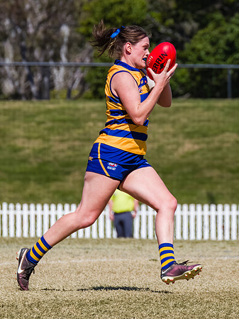 WPD Minor SF - Sydney Uni v UNSW-ES - 7 September 2025