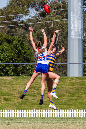 WPD Minor SF - Sydney Uni v UNSW-ES - 7 September 2025