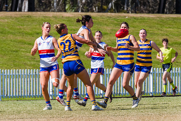 WPD Minor SF - Sydney Uni v UNSW-ES - 7 September 2025