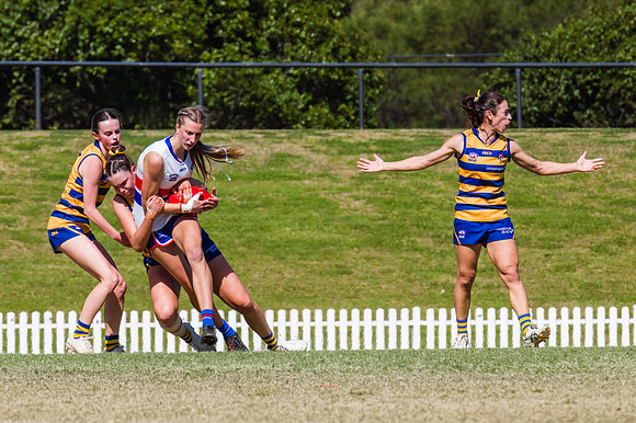 WPD Minor SF - Sydney Uni v UNSW-ES - 7 September 2025