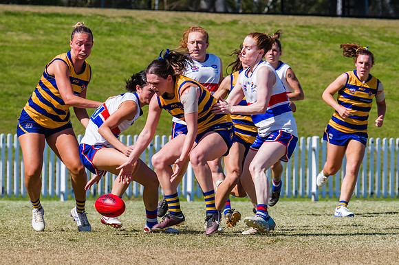 WPD Minor SF - Sydney Uni v UNSW-ES - 7 September 2025