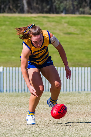 WPD Minor SF - Sydney Uni v UNSW-ES - 7 September 2025