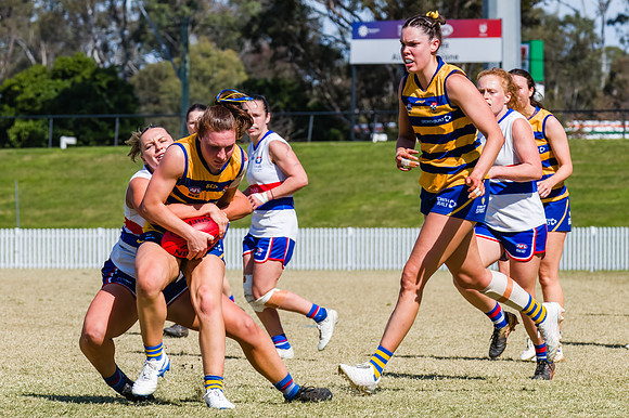 WPD Minor SF - Sydney Uni v UNSW-ES - 7 September 2025