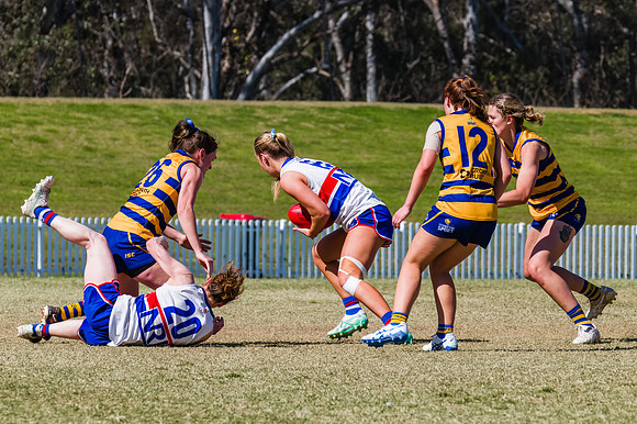 WPD Minor SF - Sydney Uni v UNSW-ES - 7 September 2025