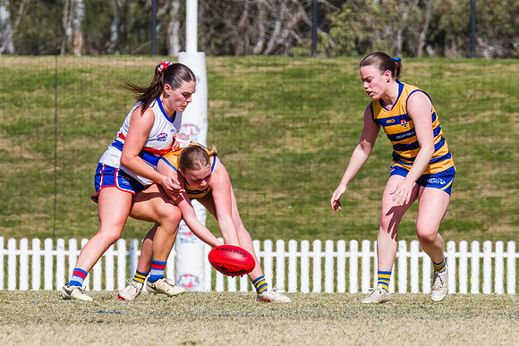 WPD Minor SF - Sydney Uni v UNSW-ES - 7 September 2025