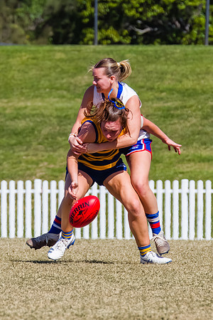 WPD Minor SF - Sydney Uni v UNSW-ES - 7 September 2025