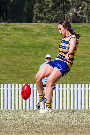 WPD Minor SF - Sydney Uni v UNSW-ES - 7 September 2025