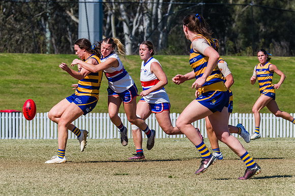 WPD Minor SF - Sydney Uni v UNSW-ES - 7 September 2025