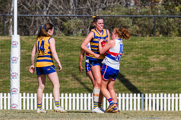 WPD Minor SF - Sydney Uni v UNSW-ES - 7 September 2025