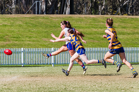 WPD Minor SF - Sydney Uni v UNSW-ES - 7 September 2025