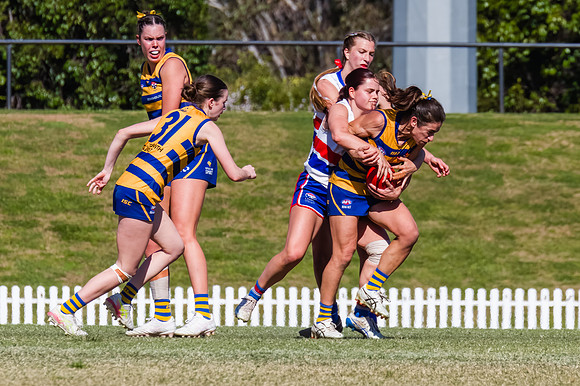 WPD Minor SF - Sydney Uni v UNSW-ES - 7 September 2025