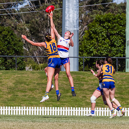 WPD Minor SF - Sydney Uni v UNSW-ES - 7 September 2025