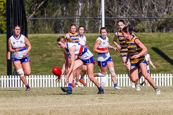 WPD Minor SF - Sydney Uni v UNSW-ES - 7 September 2025