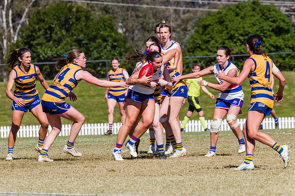 WPD Minor SF - Sydney Uni v UNSW-ES - 7 September 2025