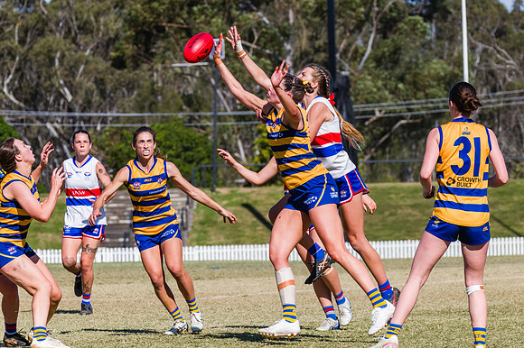 WPD Minor SF - Sydney Uni v UNSW-ES - 7 September 2025