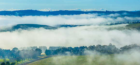 Early morning fog rolling through the countryside