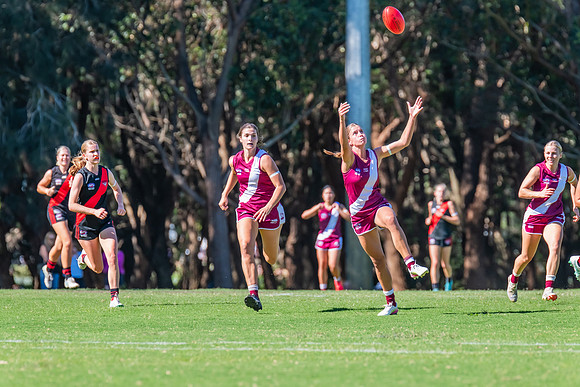 Rd 2 WPD - Manly Warringah v North Shore - 5 April 2025