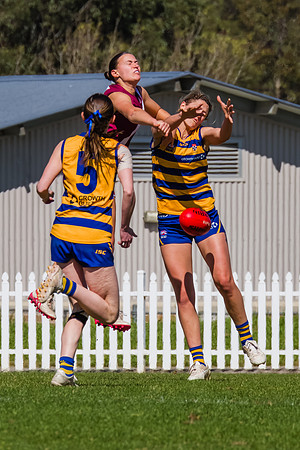WPD Prelim Final - Manly Warringah v Sydney Uni - 13 Sept 2025