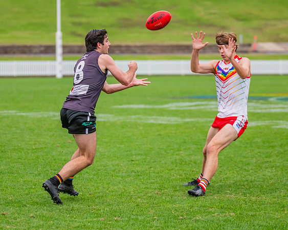 Rd 8 Men's Div 4 - Newtown v UTS - 2 June 2024