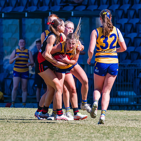 WPD Grand Final - North Shore v Sydney Uni - 20 September 2025